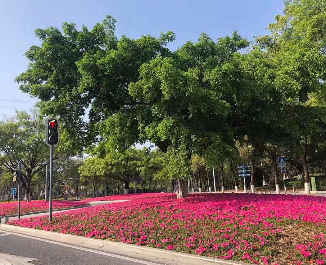 熱之源科技2021年開工啦?。?！